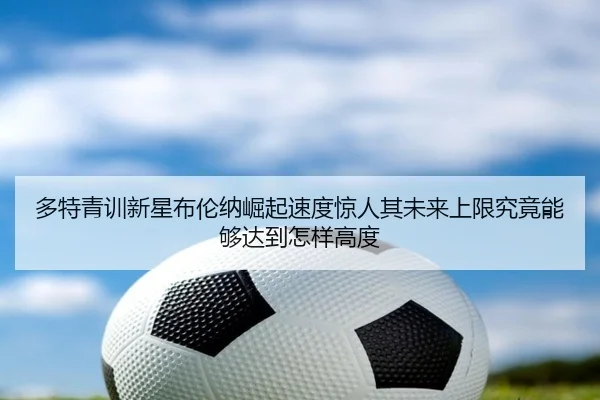 多特青训新星布伦纳崛起速度惊人其未来上限究竟能够达到怎样高度