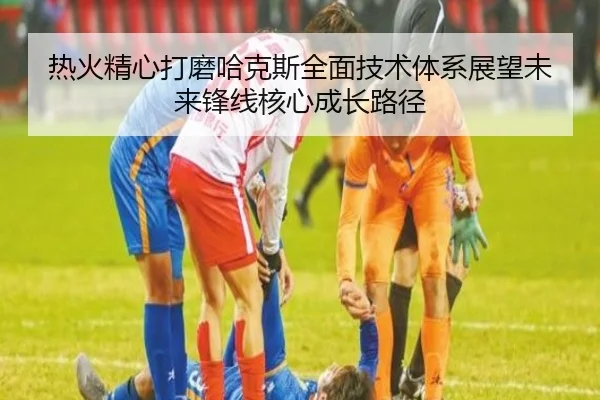 热火精心打磨哈克斯全面技术体系展望未来锋线核心成长路径