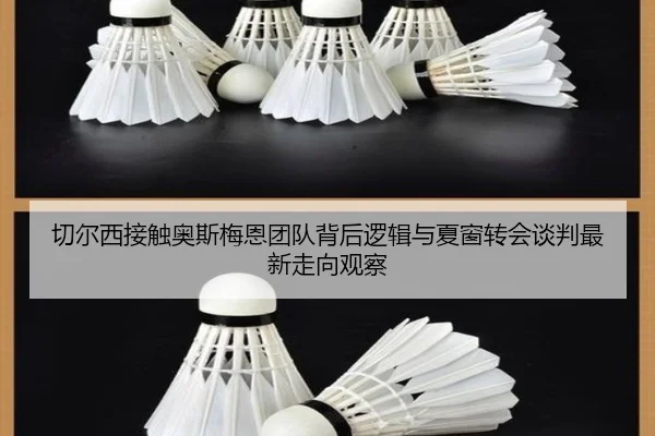 切尔西接触奥斯梅恩团队背后逻辑与夏窗转会谈判最新走向观察